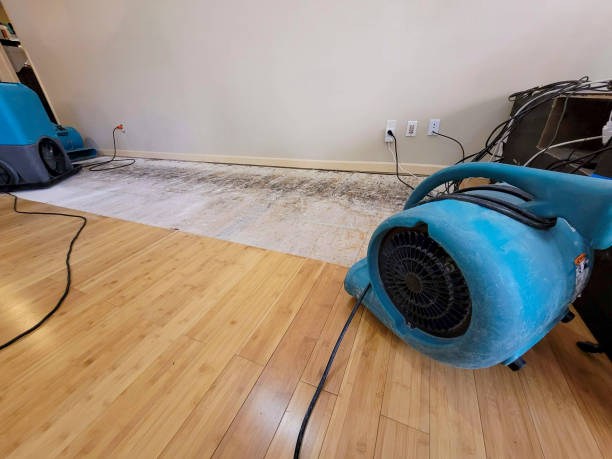 Professional Sewage Cleanup technician working in Honeyville, UT